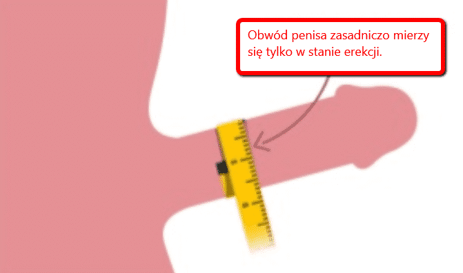 długość i grubość wielkości penisa